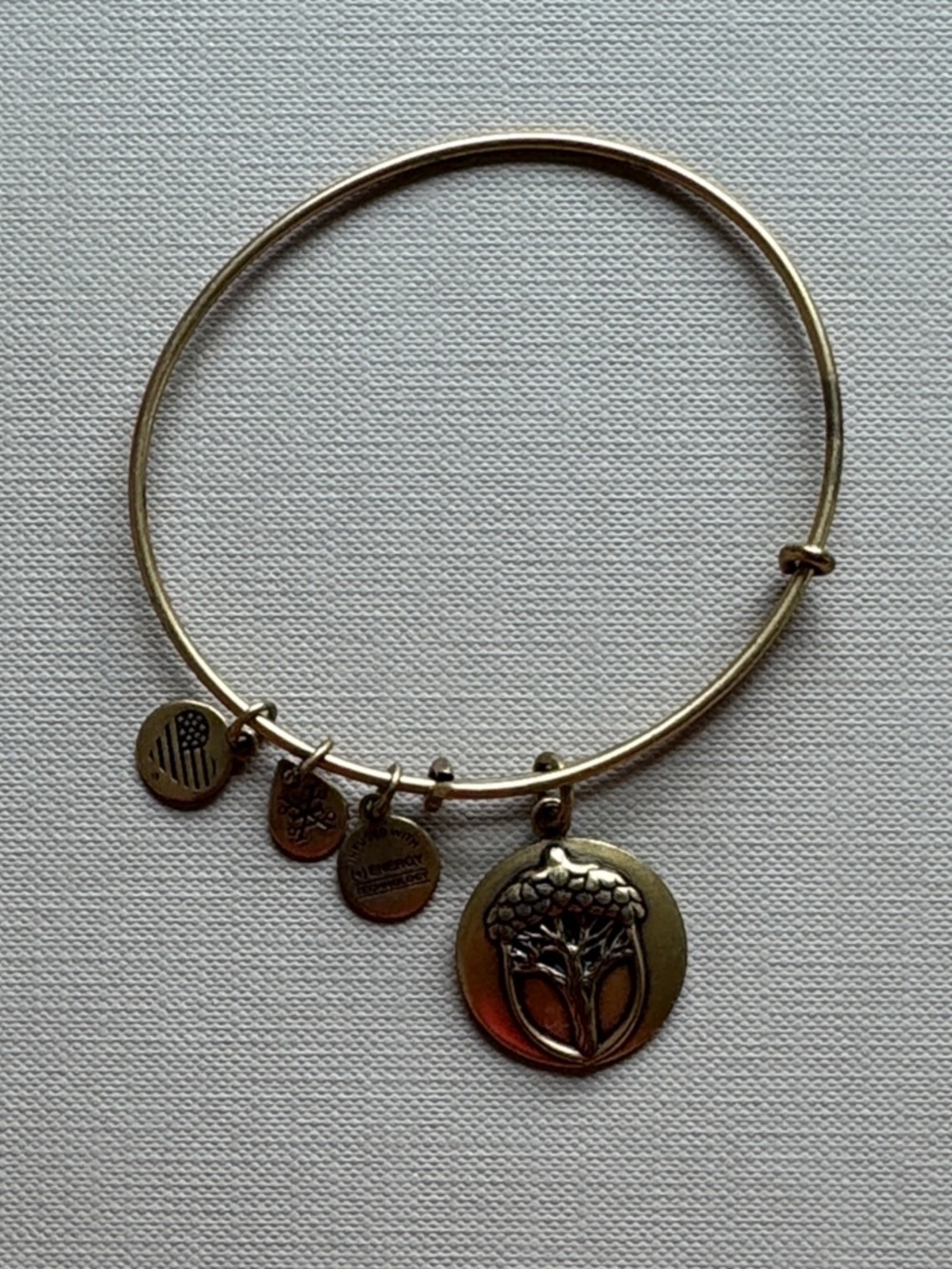 Alex and Ani Gold-Tone Charm Bangle Bracelet - Unexpected Miracles